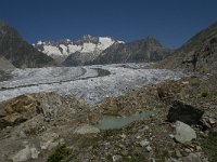 CH, Wallis, Riederalp, Grosser Aletschgletscher 8, Saxifraga-Willem van Kruijsbergen